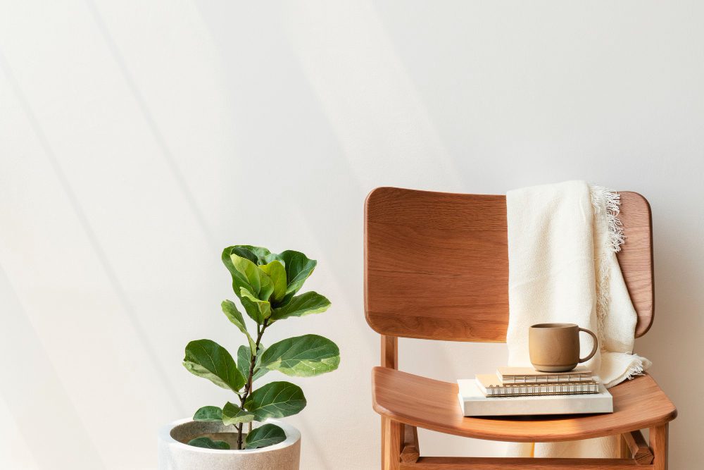classic wooden chair by fiddle leaf fig plant