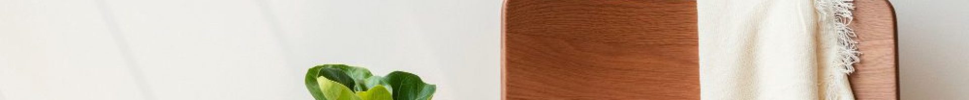 classic-wooden-chair-by-fiddle-leaf-fig-plant